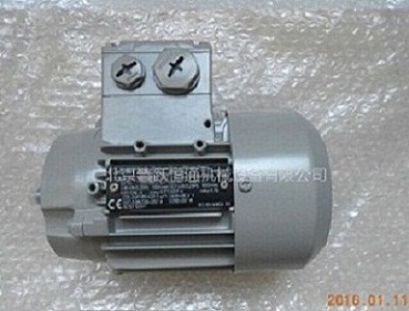 ELEKTRA 7AA63M04 电机